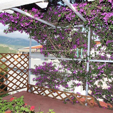 Apartment Sandra Budva Ruang foto