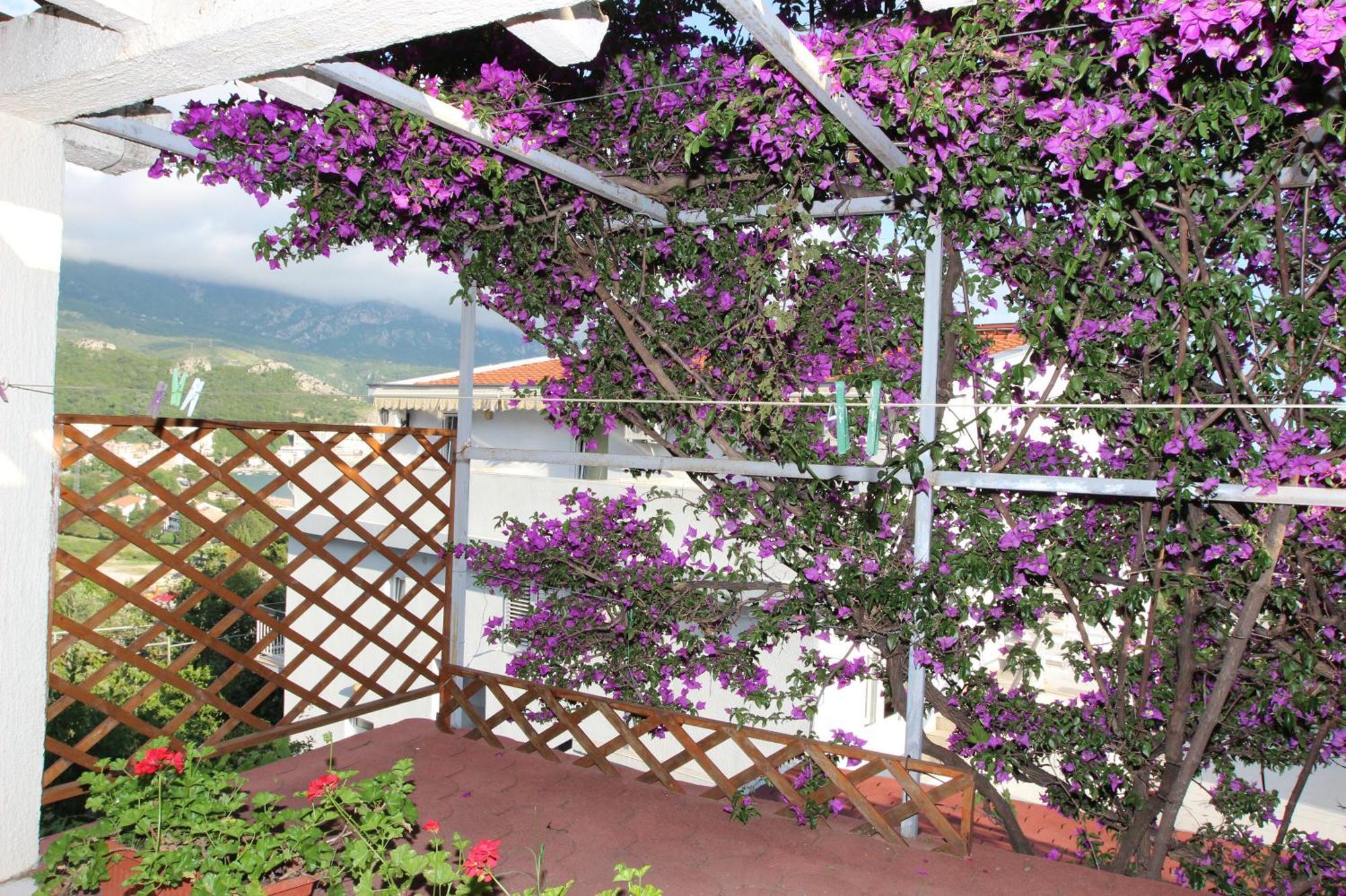 Apartment Sandra Budva Ruang foto